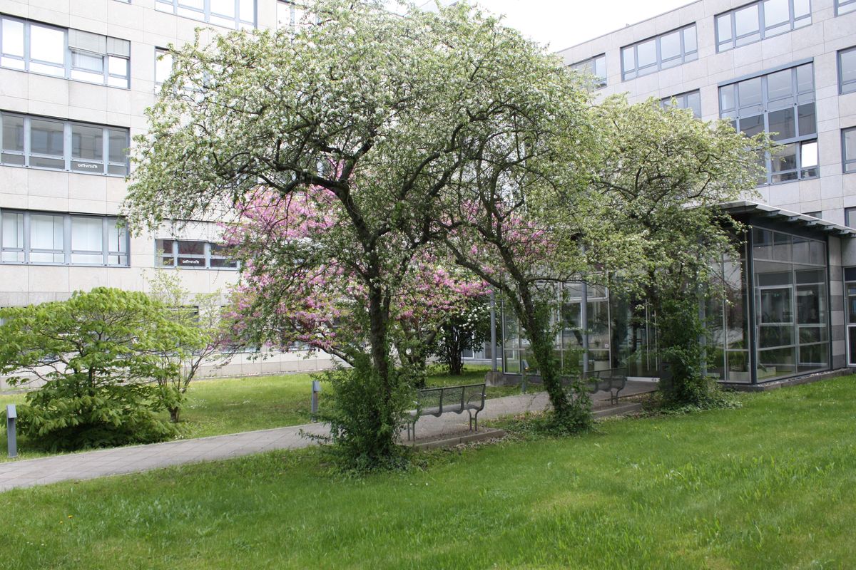 Innenhof der DAA-Fachschule für Sozialpädagogik in Berlin-Neukölln
